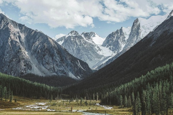 黑料网像收纳：先把前提有没有默认归位再把情绪词去掉再读