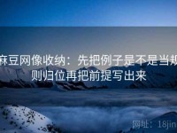 麻豆网像收纳：先把例子是不是当规则归位再把前提写出来