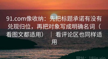 91.com像收纳：先把标题承诺有没有兑现归位，再把对象写成明确名词（看图文都适用） ｜ 看评论区也同样适用