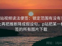 p站视频读法便签：锁定范围有没有变大再把推断降成假设句，p站把某一标签的所有图片下载