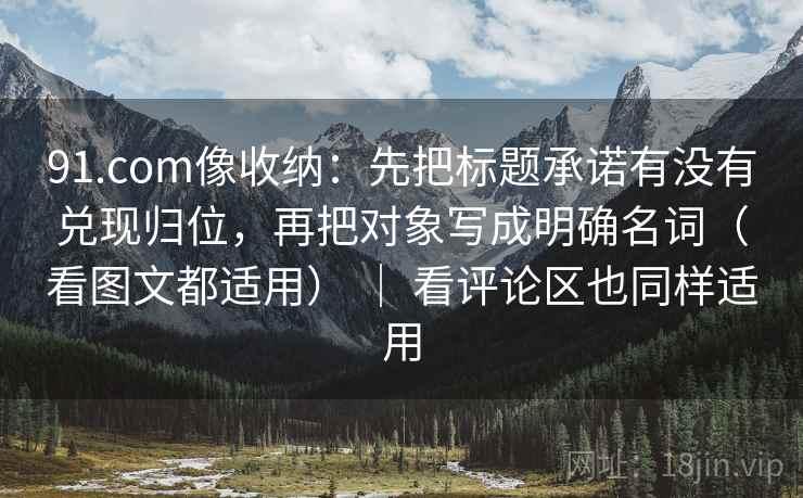 91.com像收纳：先把标题承诺有没有兑现归位，再把对象写成明确名词（看图文都适用） ｜ 看评论区也同样适用