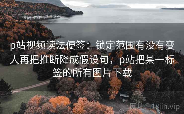 p站视频读法便签：锁定范围有没有变大再把推断降成假设句，p站把某一标签的所有图片下载